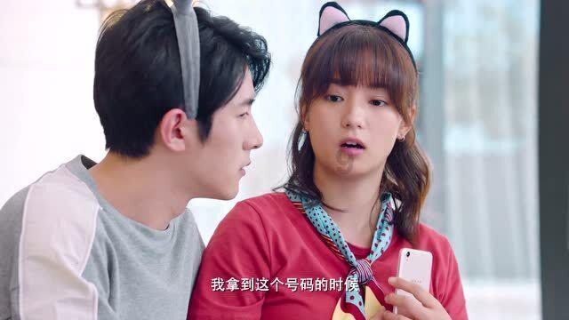 可爱猪救援2